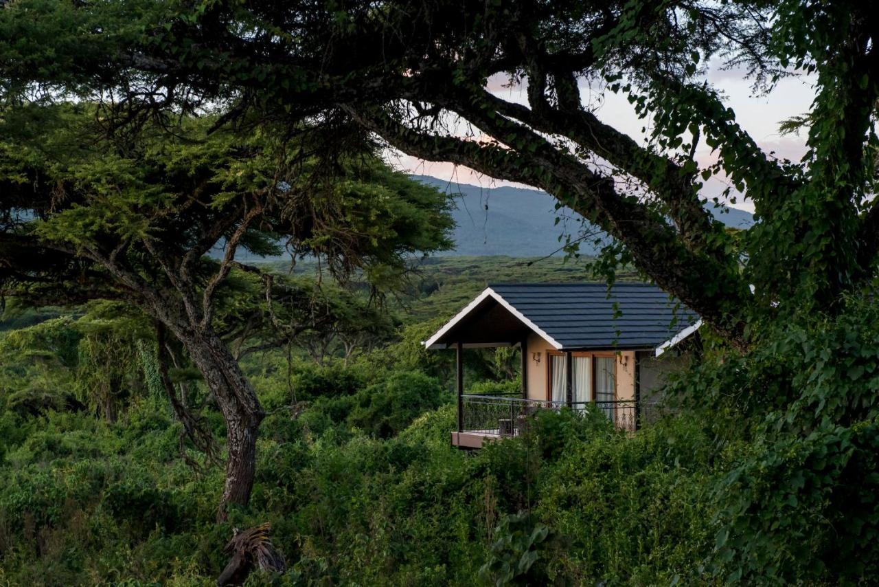 Lions Paw Ngorongoro Hotel Luaran gambar