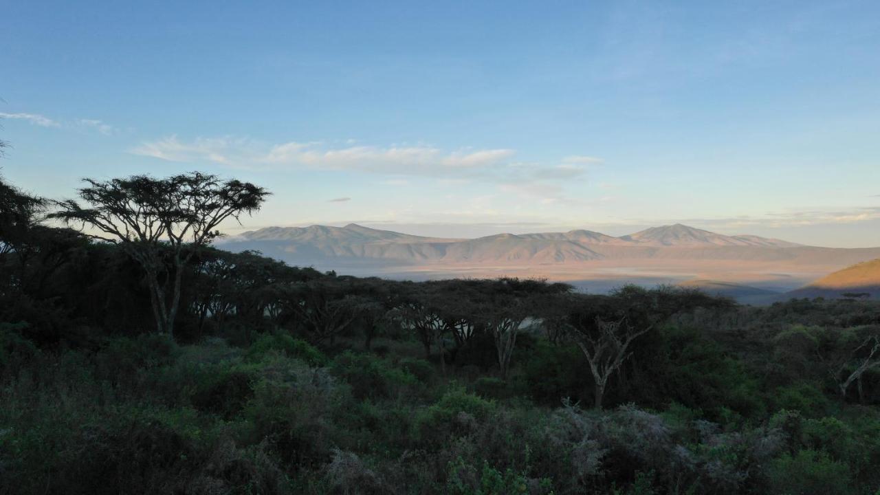 Lions Paw Ngorongoro Hotel Luaran gambar