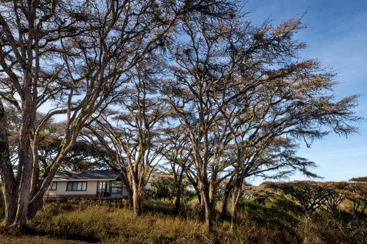 Lions Paw Ngorongoro Hotel Luaran gambar